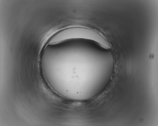 X0000111250152200907161413