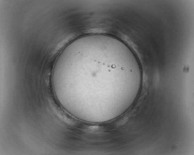 X0000111250153200907161413