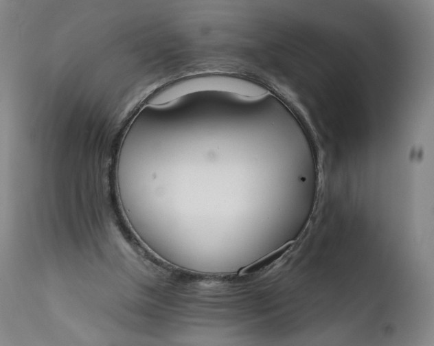 X0000111250154200907161414