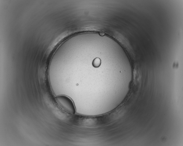 X0000111250156200907161414