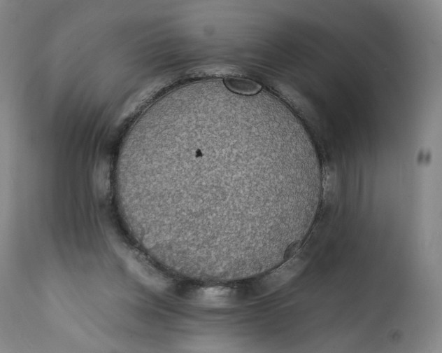 X0000111250158200907161414