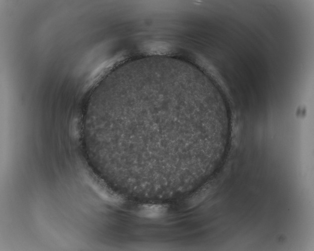 X0000111250161200907161414