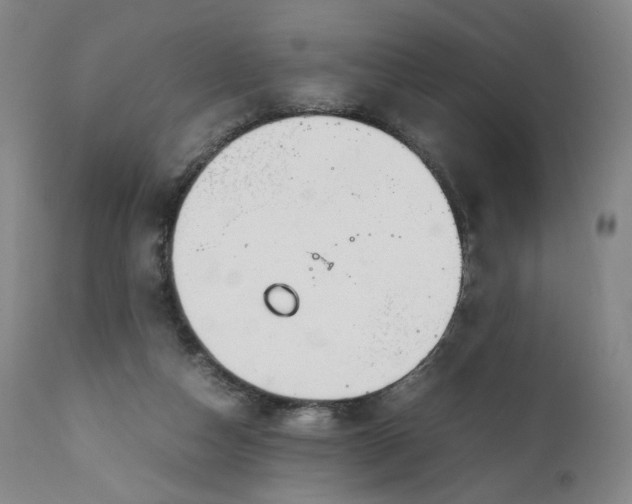 X0000111250162200907161414