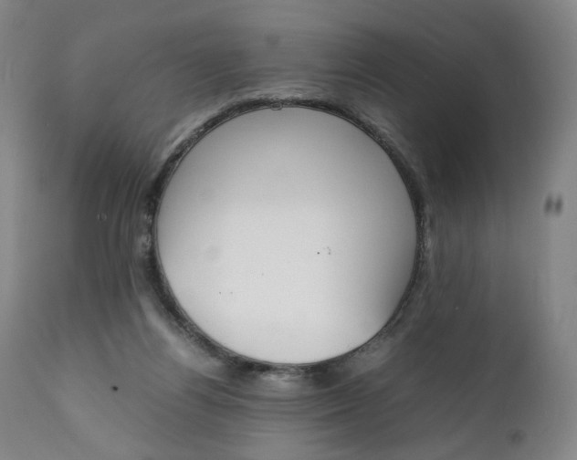 X0000111250164200907161414