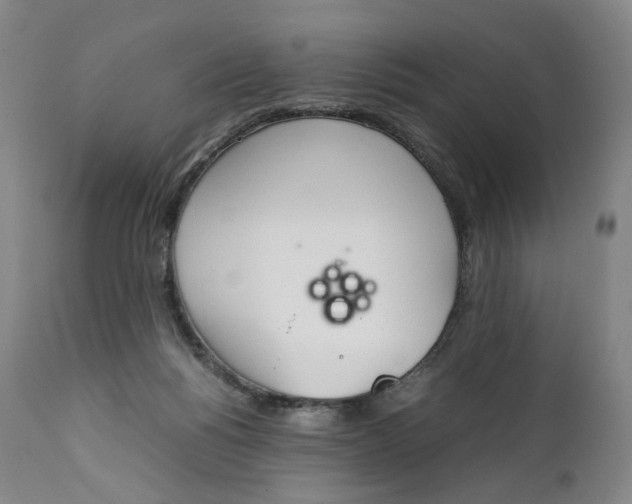 X0000111250168200907161414