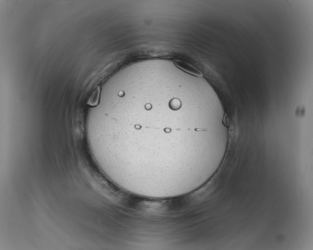 X0000111250170200907161414