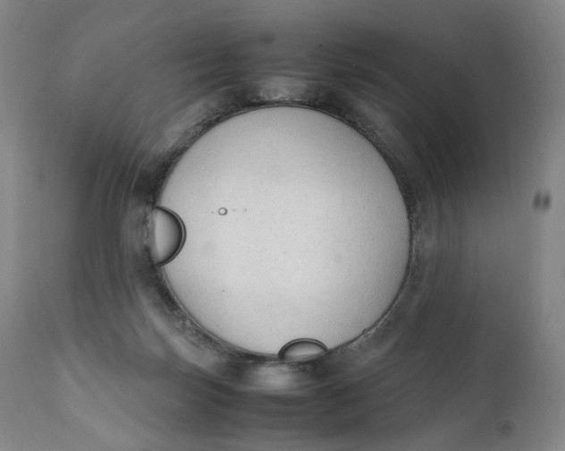 X0000111250171200907161414