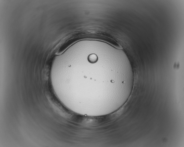 X0000111250174200907161414