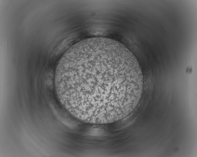 X0000111250175200907161414