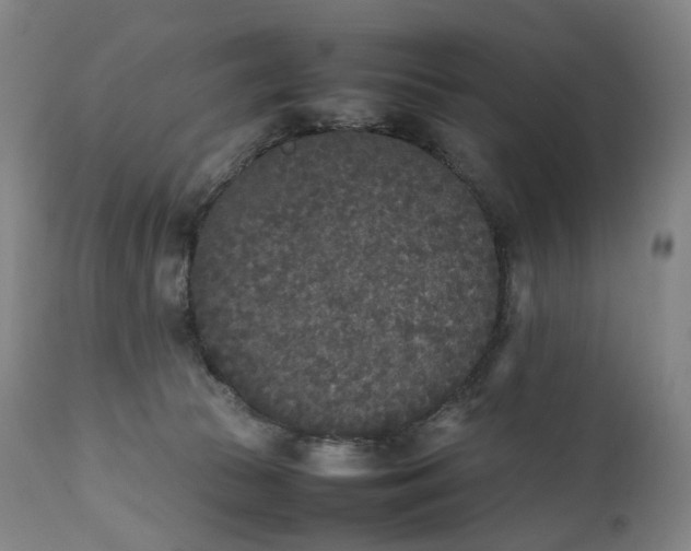 X0000111250177200907161414