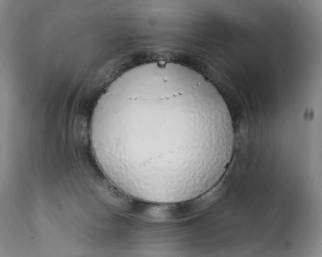 X0000111250178200907161414