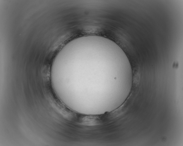 X0000111250179200907161414