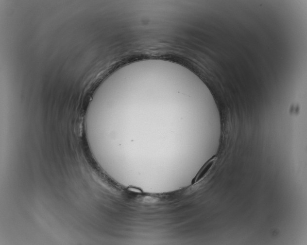 X0000111250180200907161414