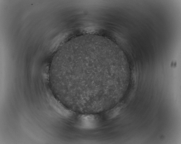 X0000111250181200907161414