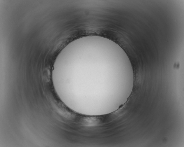 X0000111250183200907161414