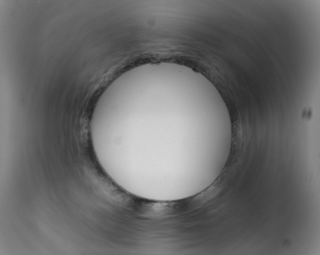 X0000111250184200907161414