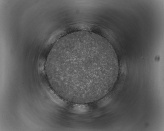 X0000111250185200907161414