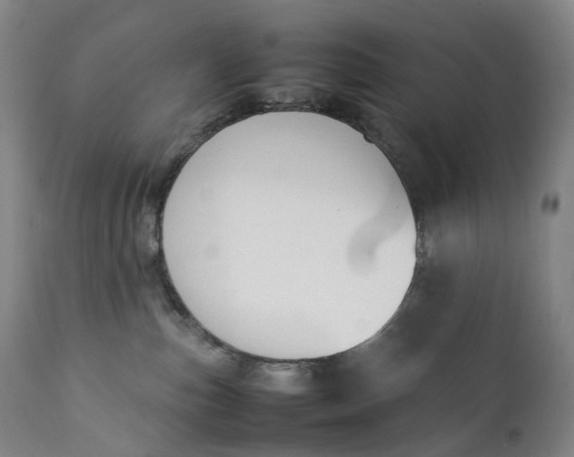 X0000111250187200907161414