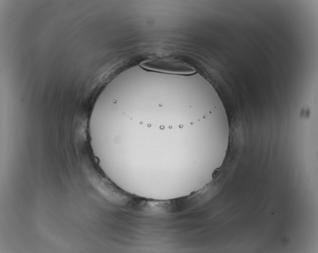 X0000111250188200907161414