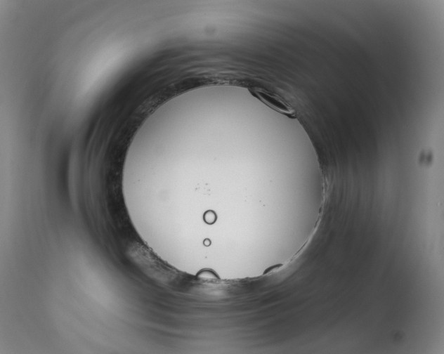 X0000111250190200907161414