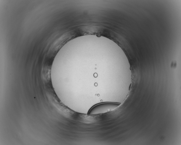 X0000111250191200907161414