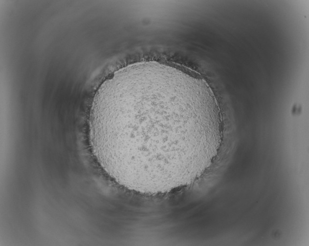 X0000111250192200907161414