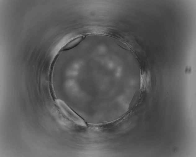 X0000111250195200907161413