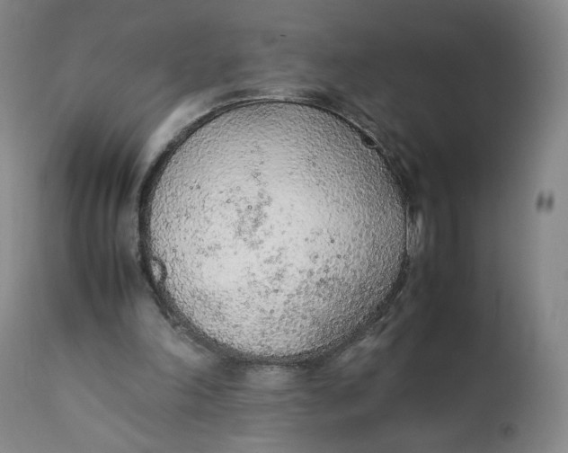 X0000111250198200907161413