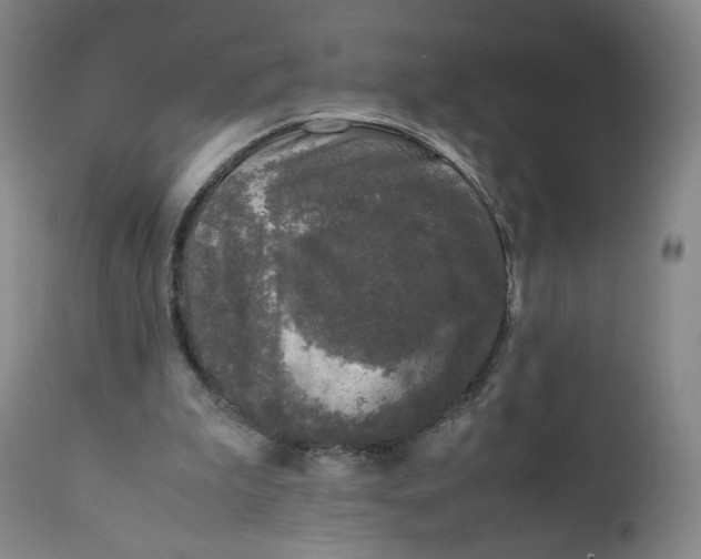 X0000111250199200907161413