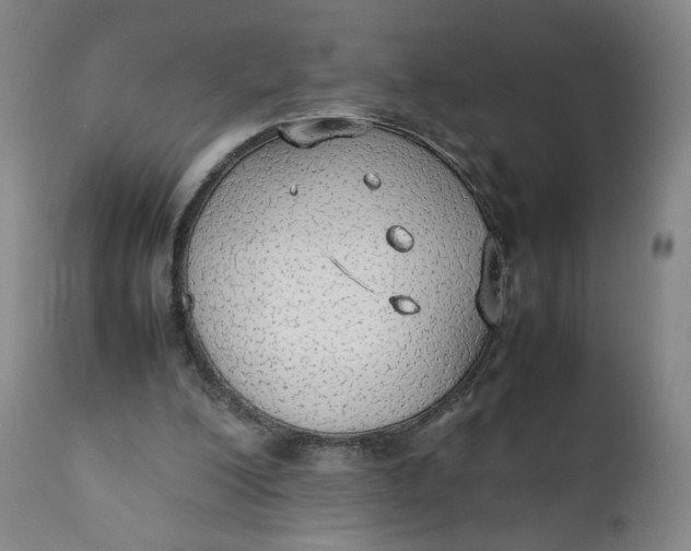 X0000111250200200907161413