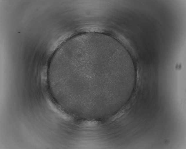 X0000111250202200907161413