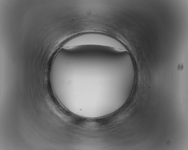 X0000111250203200907161413