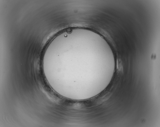 X0000111250204200907161413