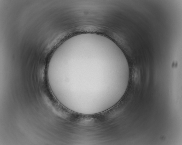 X0000111250206200907161413