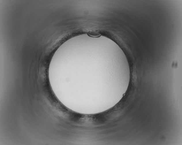 X0000111250211200907161413