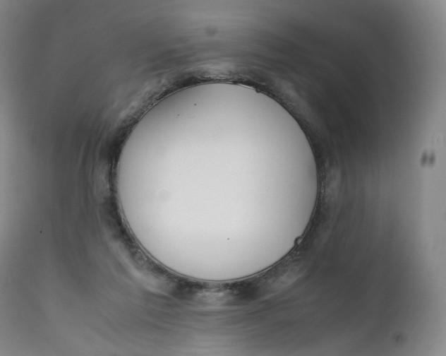 X0000111250213200907161413