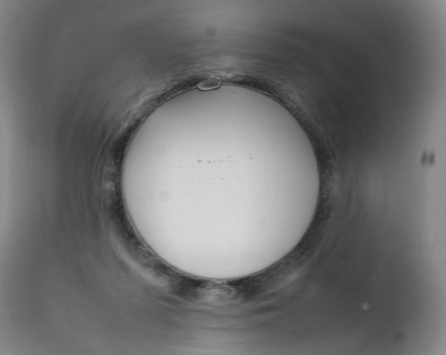 X0000111250215200907161413