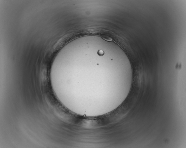 X0000111250220200907161413