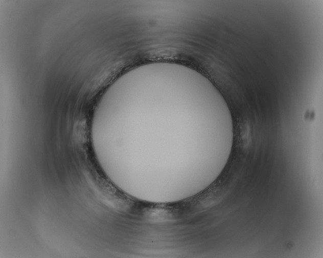 X0000111250224200907161413