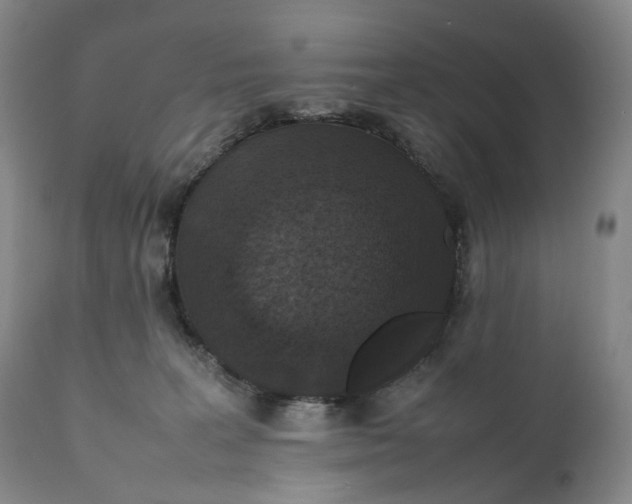 X0000111250227200907161413