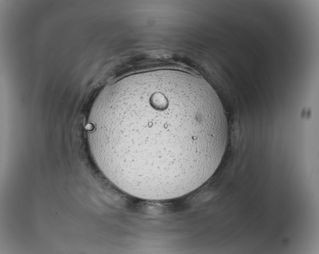 X0000111250229200907161413