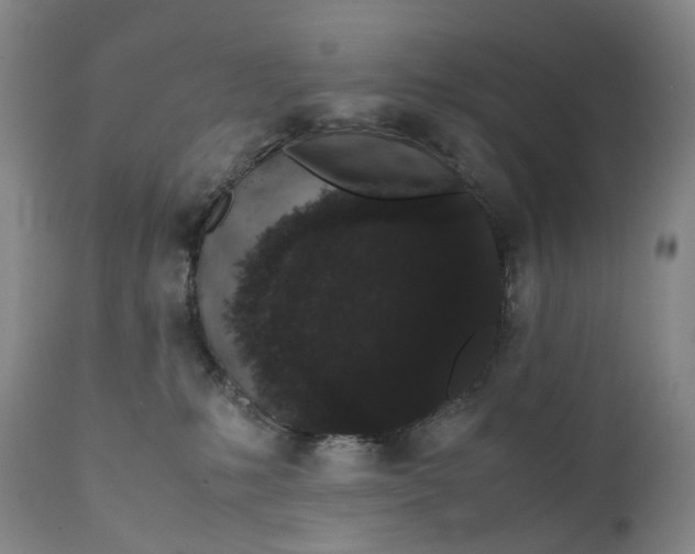 X0000111250231200907161413