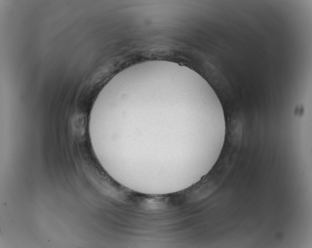 X0000111250232200907161413