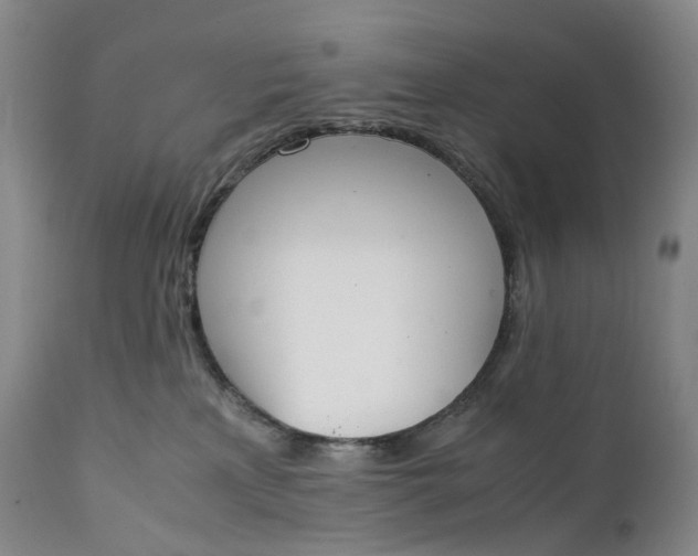 X0000111250233200907161413