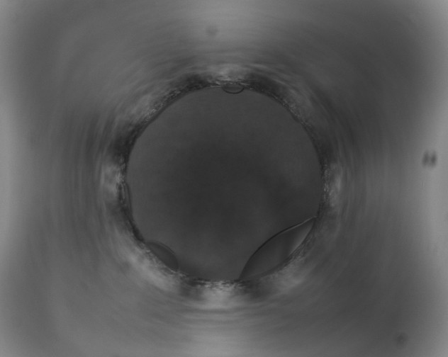 X0000111250235200907161413