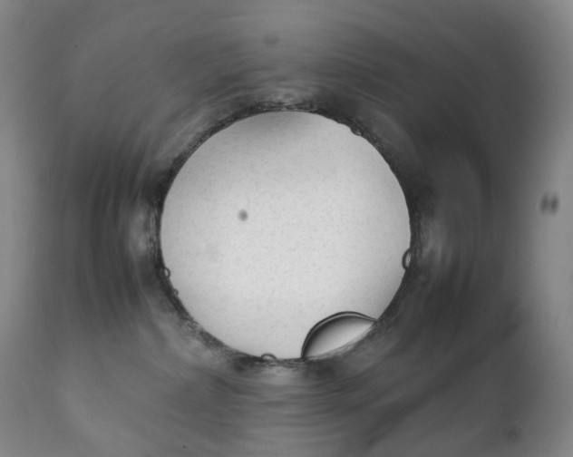 X0000111250236200907161413