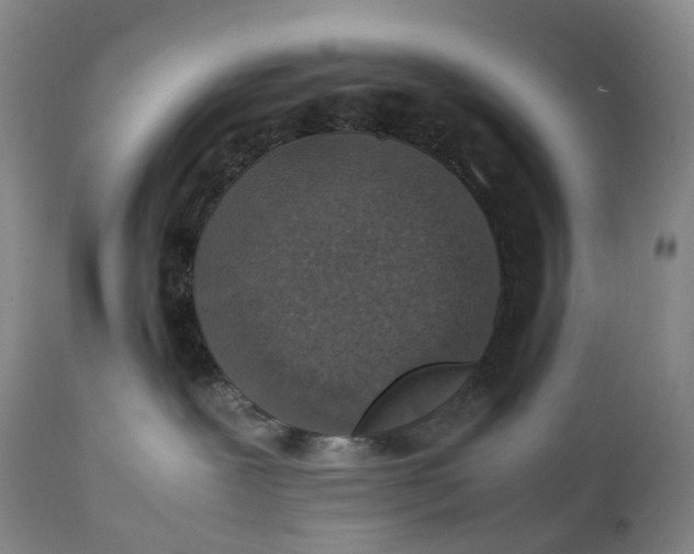 X0000111250239200907161413