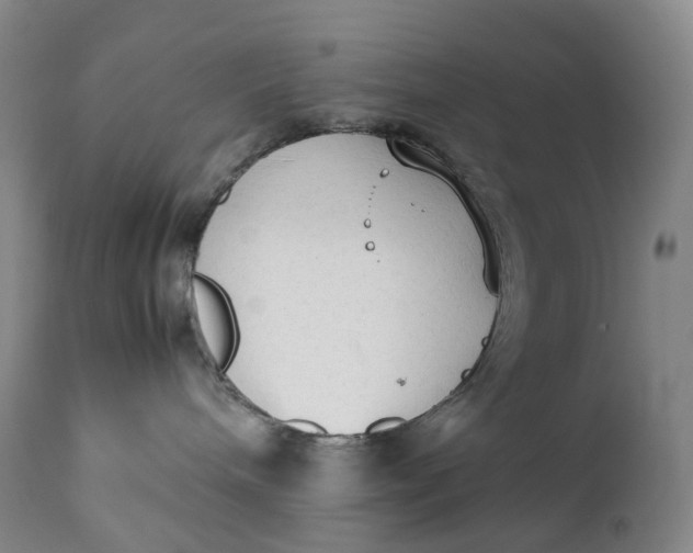 X0000111250240200907161413