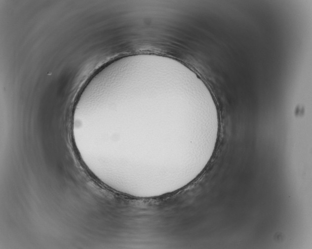 X0000111250241200907161412