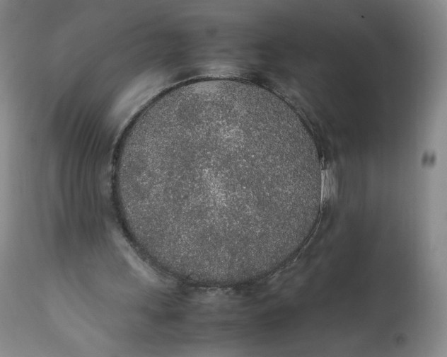 X0000111250243200907161412